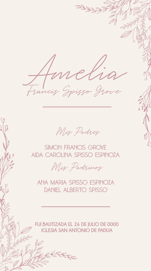 Bautizo Ramas Linea Rosa Fondo Crema