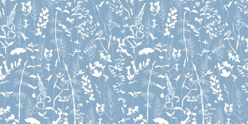 Flores Silvestres sobre Azul